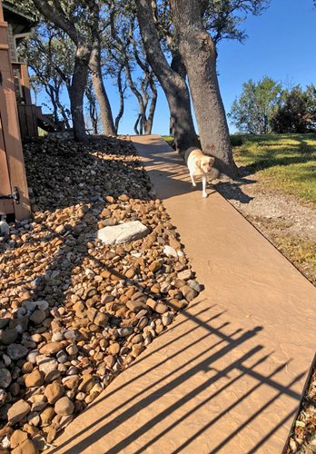 stamped concrete walkway Boerne